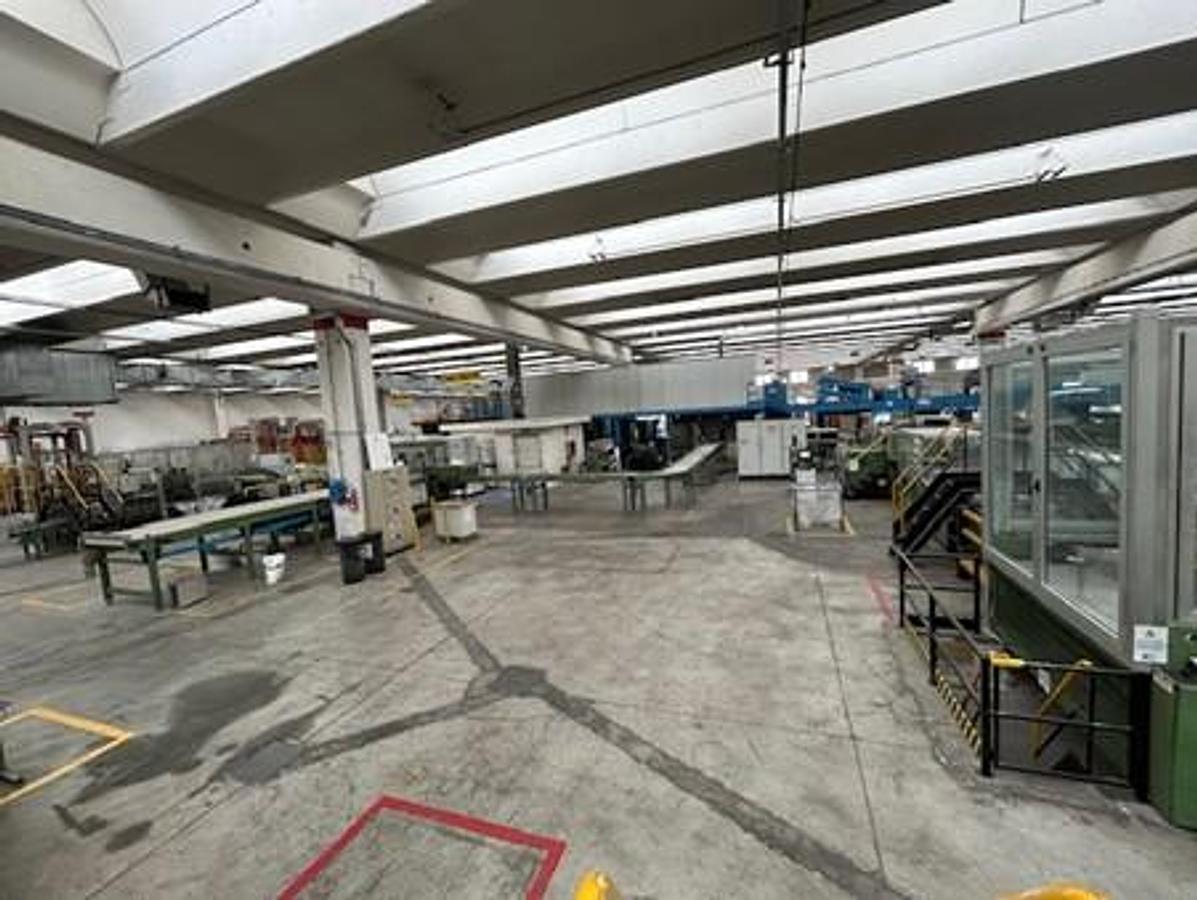 Used 1984 ECH WILL CUT SIZE SHEETER WITH WRAPPING, PACKING & PALLETIZING LINE