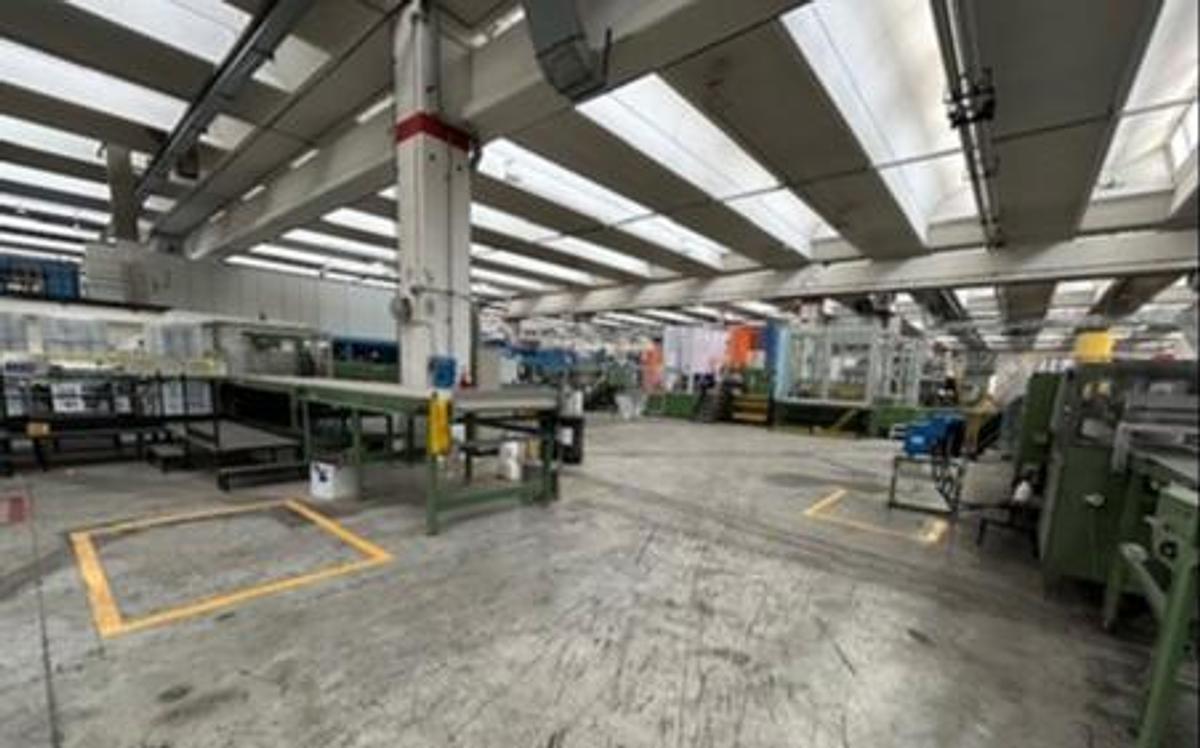 Used 1984 ECH WILL CUT SIZE SHEETER WITH WRAPPING, PACKING & PALLETIZING LINE