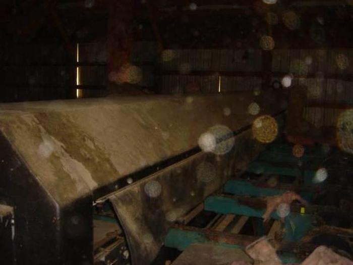 Used Hemco Trimmer Optimizer Sling Sorter System