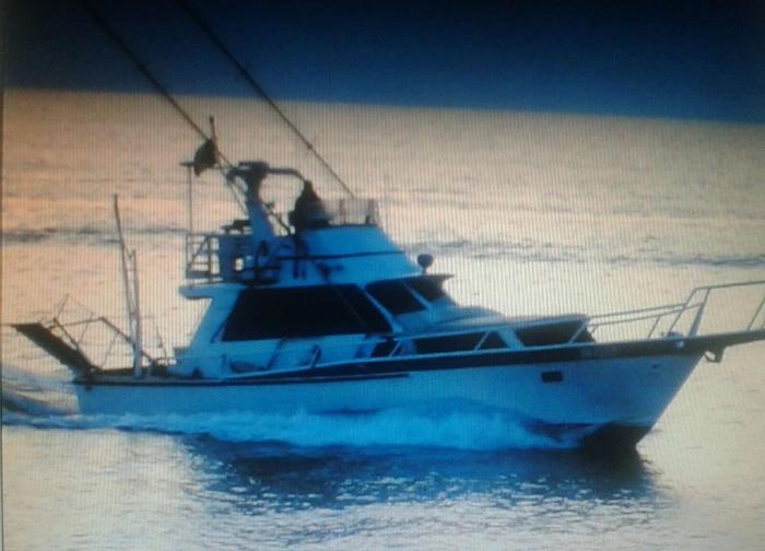 Used Imbarcazione, marca STRIKER 43  mod. Fish