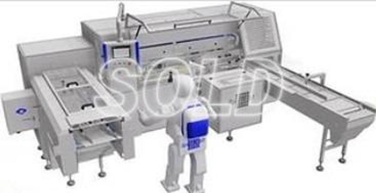 Very good used IBONHART BREAD SLICING & BAGGING LINE