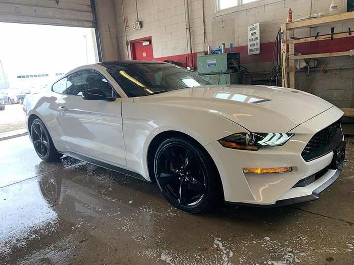 Used 2021 Ford Mustang MUSTANG