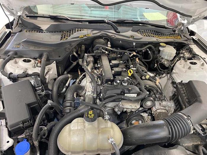 Used 2021 Ford Mustang MUSTANG