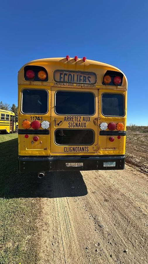 Used 2011 BlueBird Vision 4x2 72 Seats School Bus