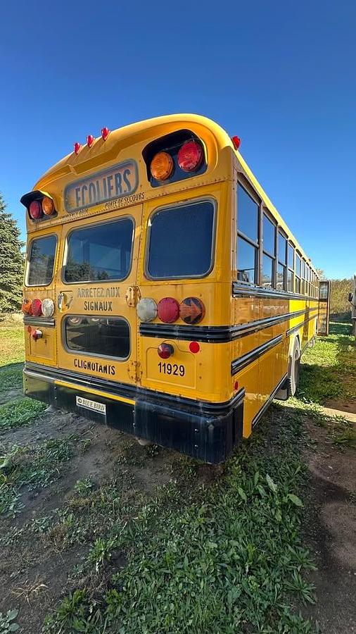 Used 2011 BlueBird TC3000 4x2 72-Seat school bus