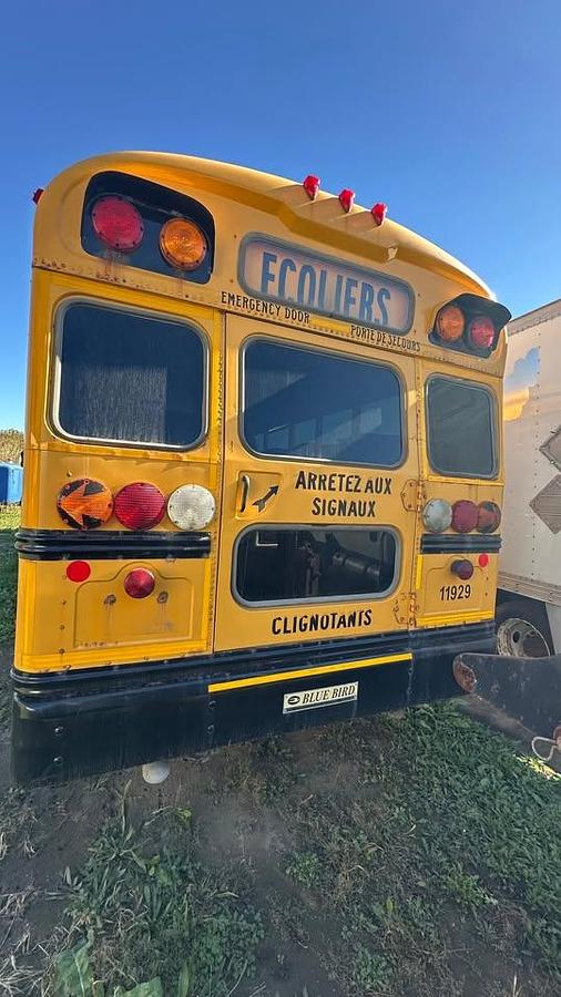 Used 2011 BlueBird TC3000 4x2 72-Seat school bus