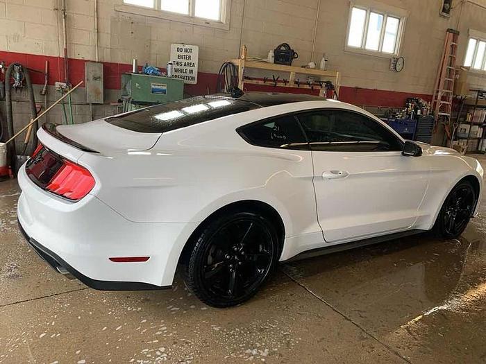 Used 2021 Ford Mustang MUSTANG