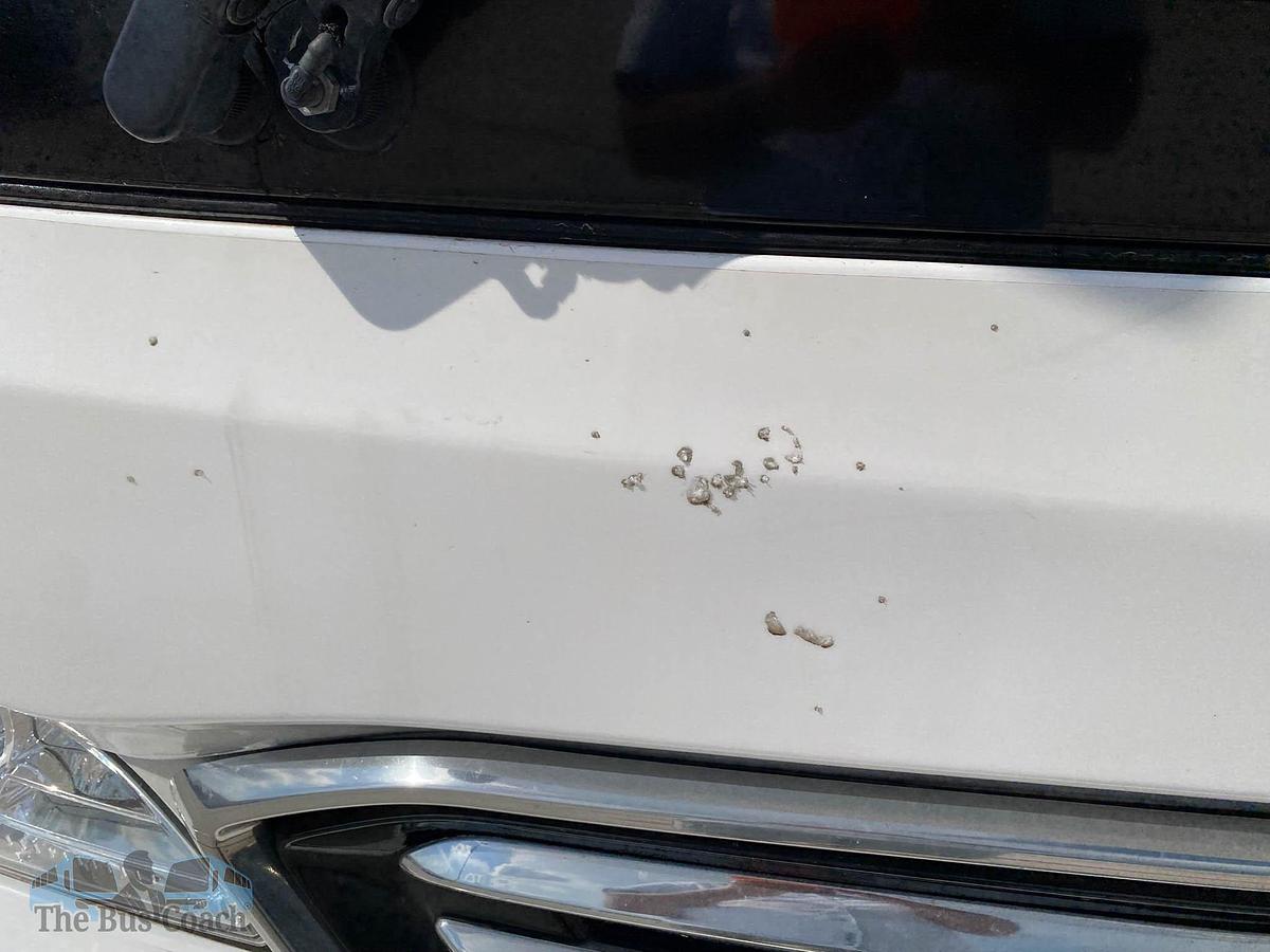 Used 2022 MERCEDES BENZ Tourrider