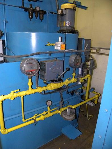 Used Ipsen Dunk & Spray