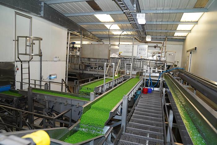 Used Veg washing and grading plant