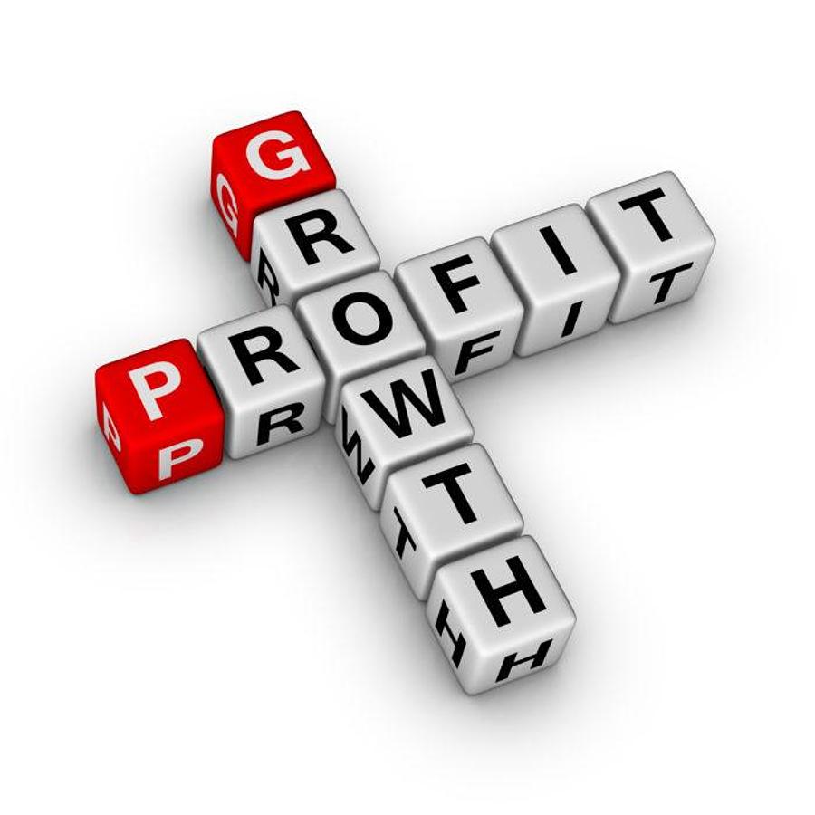 Laser Profit Growth Program