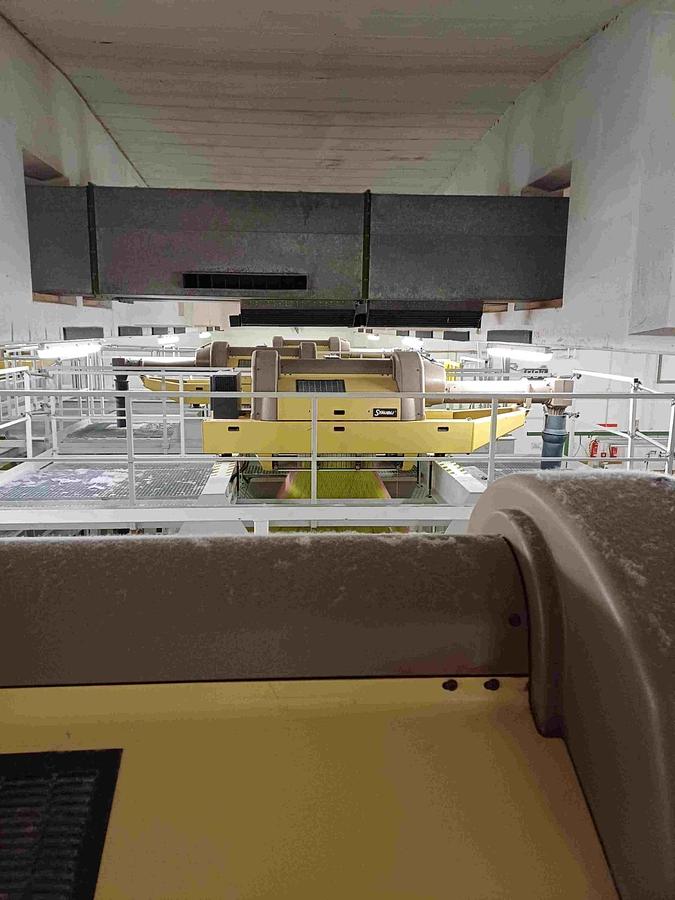 Gebraucht 4 used Picanol jacquard looms Gammax-8-J-3400, year 2005