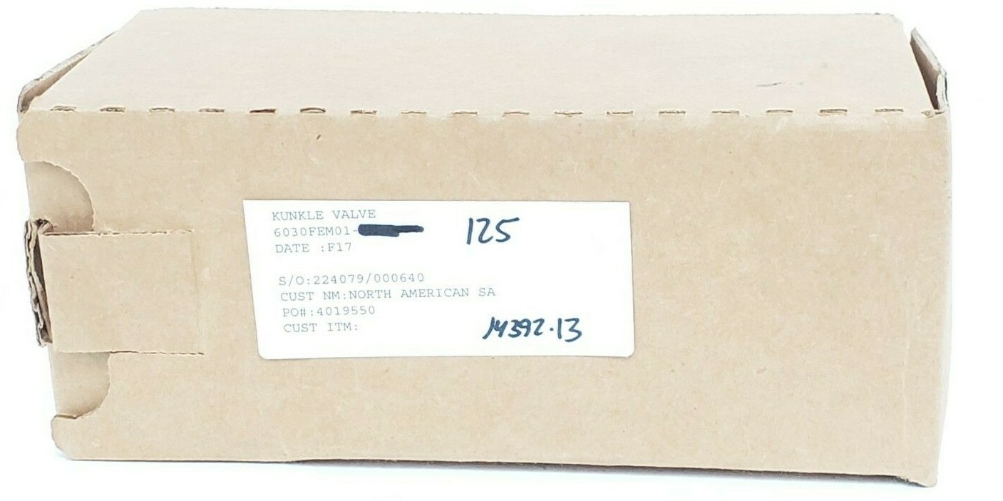Used NIB KUNKLE 6030FEM01 RELIEF VALVE, 6030FEM01-LM, 6030FEM01-125, 125PSI, 1"