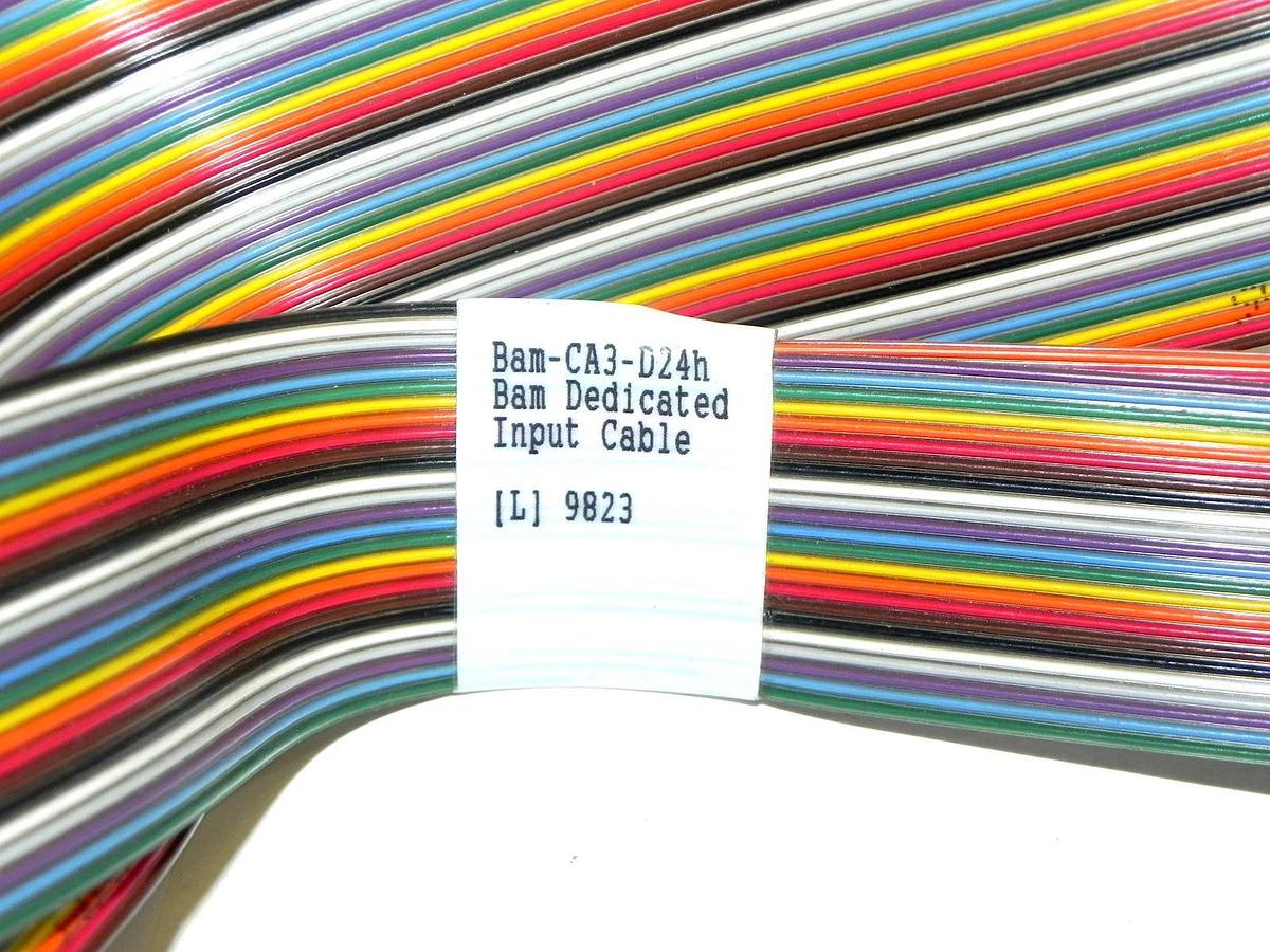 Used BAM DEDICATED INPUT CABLE 10797F0058 BAM-CA3-D24H USED