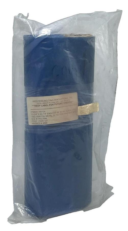 Western Belting 100124 Blue Endless SF Conveyor Belt 13-3/4" x 80-1/8" - NSMP