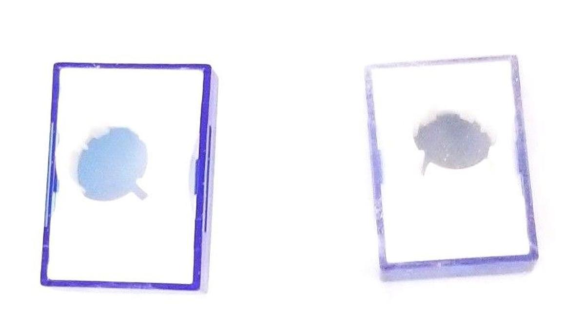 Used LOT OF 2 NEW OMV 068900703 TRANSP. COVER 51-903 BLUE NUCLET