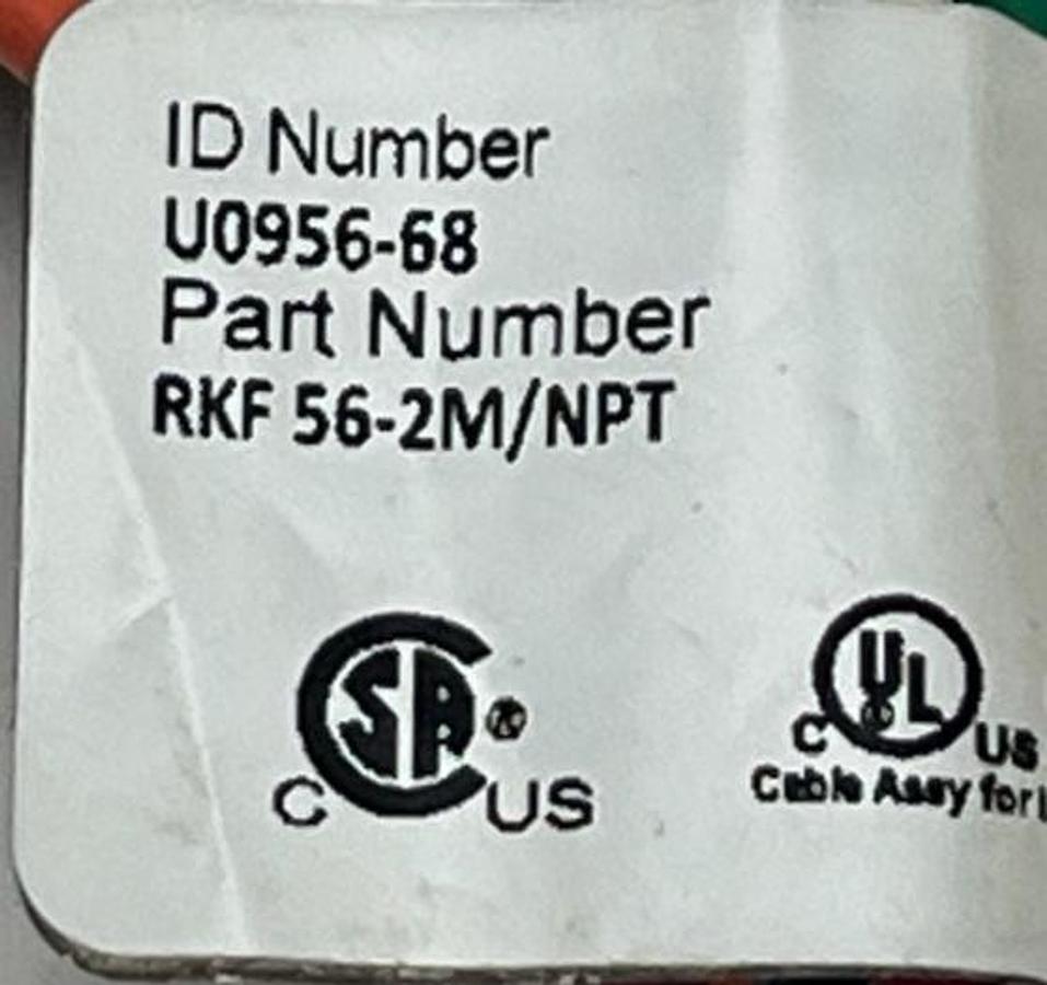 Used Turck RKF 56-2M/NPT Minifast Receptacle 5-Pin Female 7/8" 1/2" NPT 2M Leads NSNP
