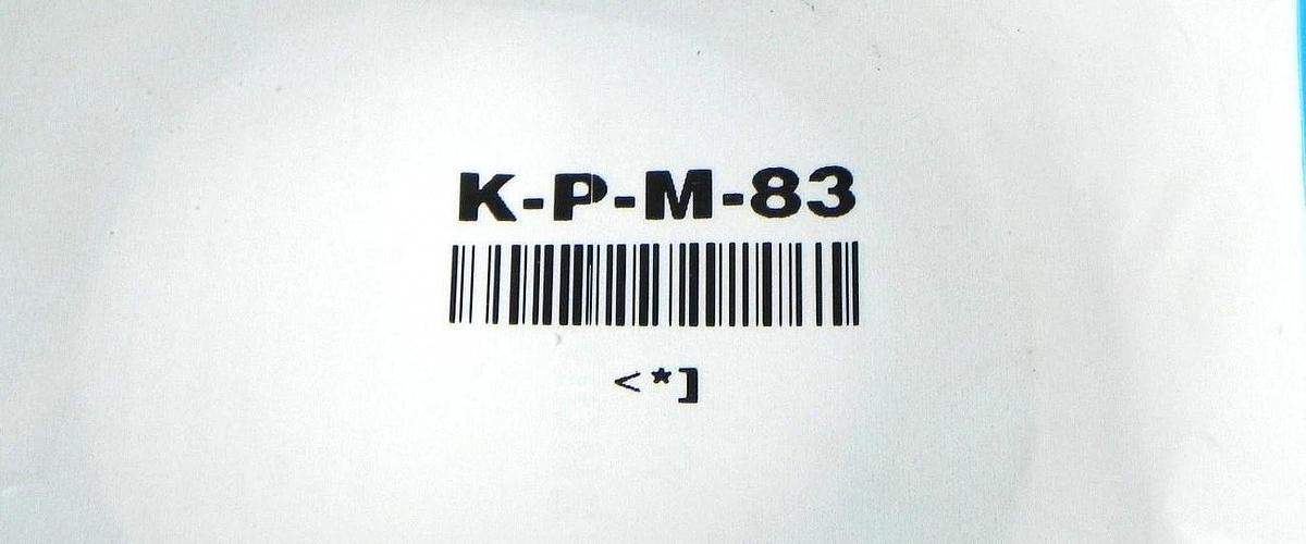 NEW BIMBA P-58-DWMC-8310-4 MAG PISTON W/ K-P-M-83 PISTON KIT P58DWMC83104