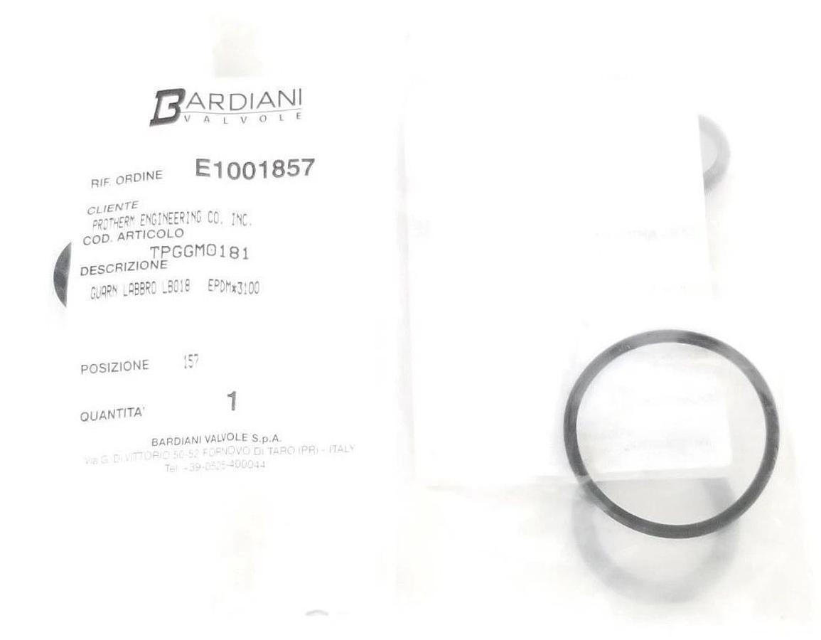 Used LOT OF BARDIANI VALVOLE O-RINGS TPJGM03106, RALGA018, RAAGM4187, TPGGM0181