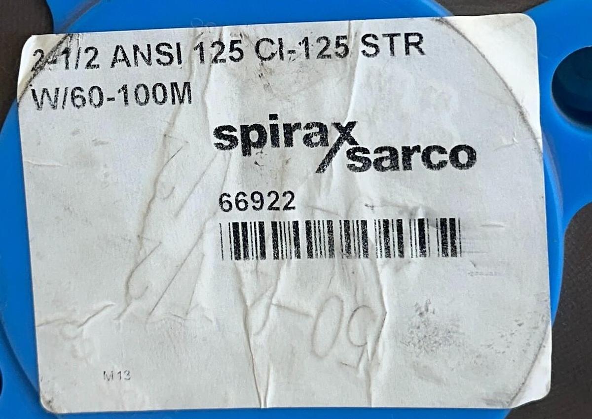 Used SPIRAX SARCO 2-1/2 ANSI 125 CI-125 STR W/60-100M / 66922 Y-STRAINER 2-1/2'' NSNP