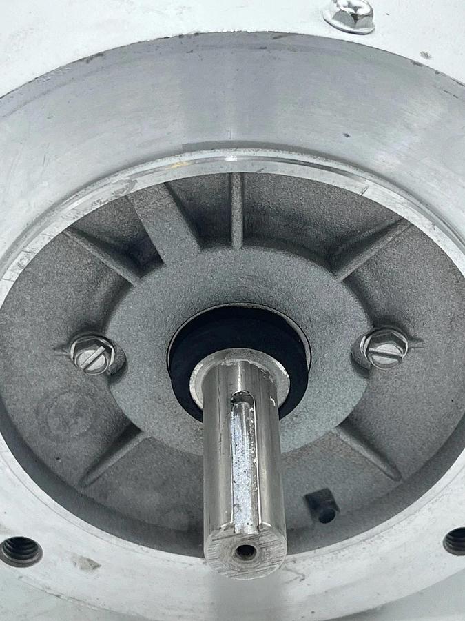 Leeson 119468.00 Washguard Premium Efficient Motor 1HP 1750RPM 3PH 56C Stainless