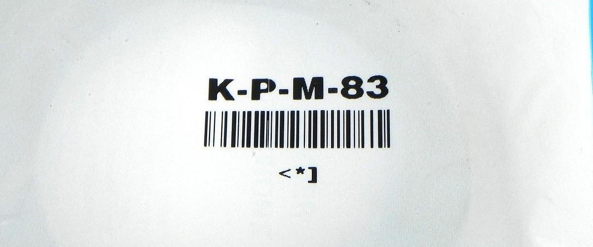 Used NEW BIMBA P-58-DWMC-8310-4 MAG PISTON W/ K-P-M-83 PISTON KIT P58DWMC83104
