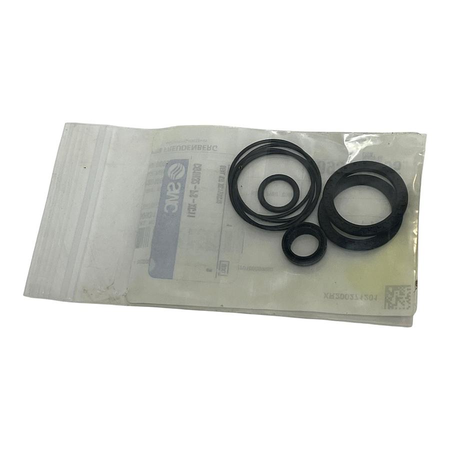 Freudenberg 0093114365 Seal Kit CG1N32-PS-XC11 SMC Cylinder New