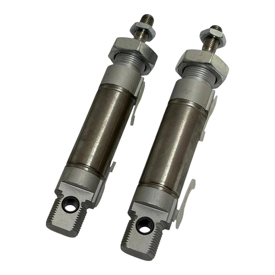 Festo DSNU-25-25-P-A Pneumatic Cylinder 19219 10 Bar Lot of 2 New Surplus