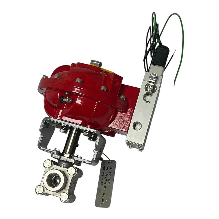 Flow-Tek 1/2" 2200 WOG Ball Valve Easytork Actuator Nass Magnet 110V Solenoid