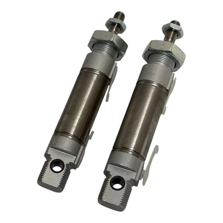 Used Festo DSNU-25-25-P-A Pneumatic Cylinder 19219 10 Bar Lot of 2 New Surplus