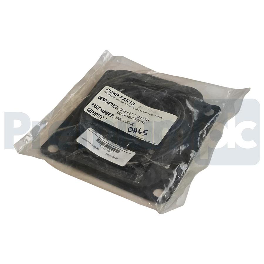 Used AMT Pump 399C-300-90 Gasket & O-Ring Kit Buna Neoprene for Trash Pumps OEM NSFS