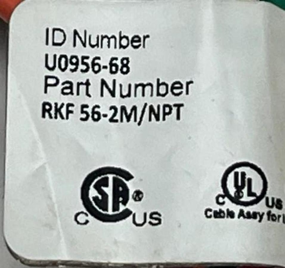Turck RKF 56-2M/NPT Minifast Receptacle 5-Pin Female 7/8" 1/2" NPT 2M Leads NSNP