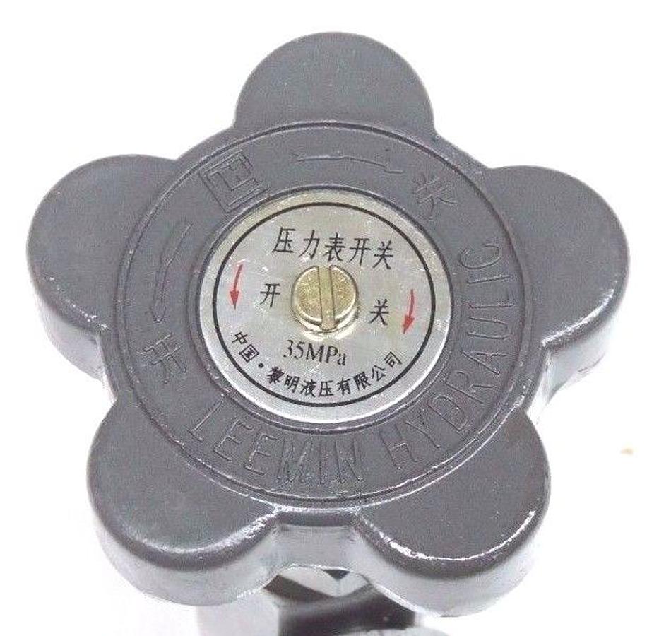 Used NEW LEEMIN HYDRAULICS 35MPA VALVE 1/4" NPT