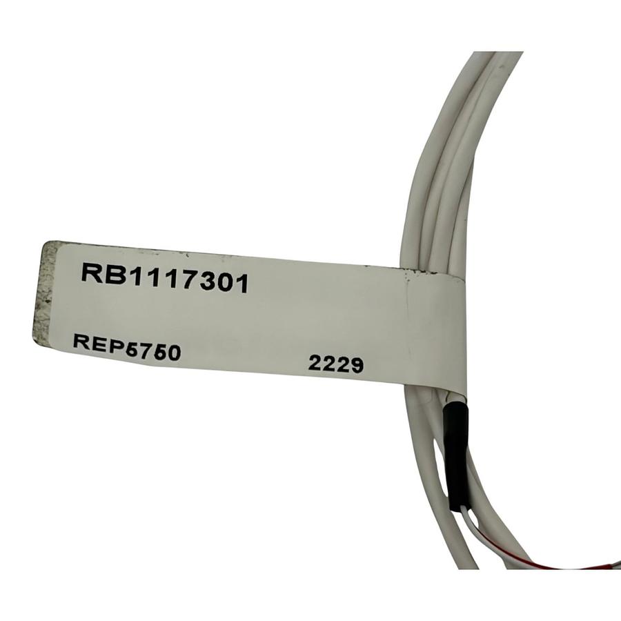 Used Watlow RB1117301 Style RB RTD Temperature Sensor REP6750 New