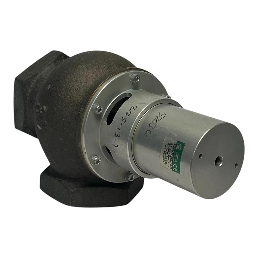 Spartan Scientific 9-APV-90560-1-001 Pneumatic Valve 3" BSP Double Acting, NSNP