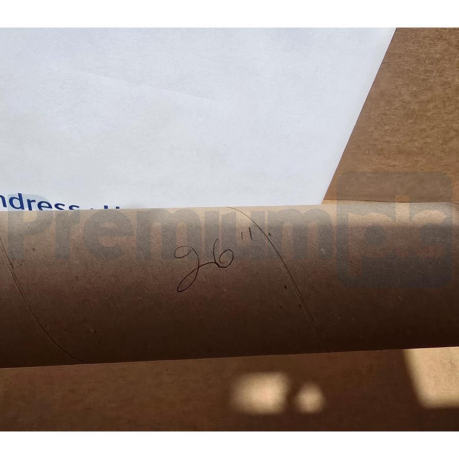 Endress+Hauser FTL51 Liquiphant M Vibrating Level Switch 26" FTL51-RAE2CB4E5A