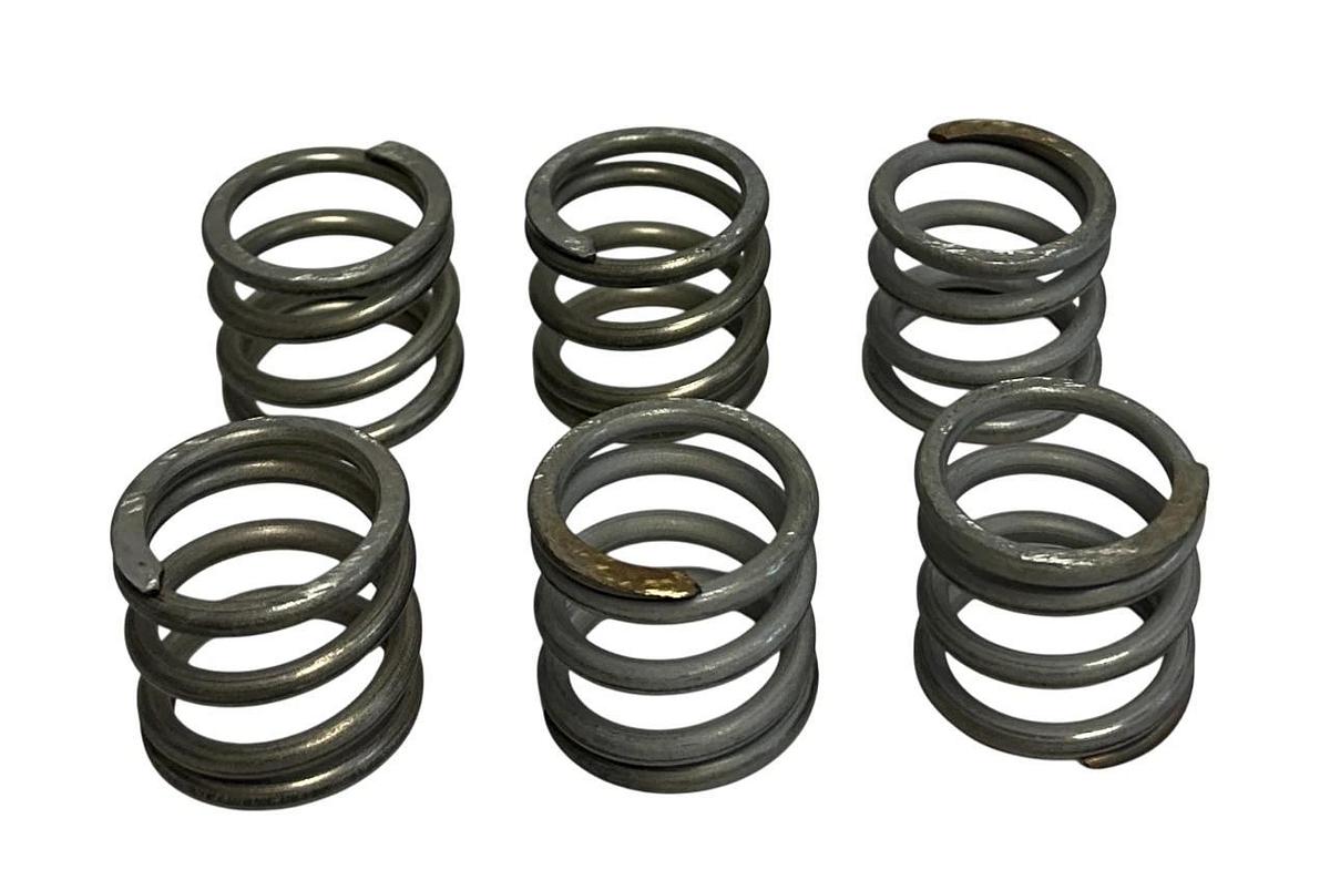 6 TRIANGLE 05-B-07-D4 / 103341402 OEM INTERM TRAY VIBRATOR SPRINGS NSNP
