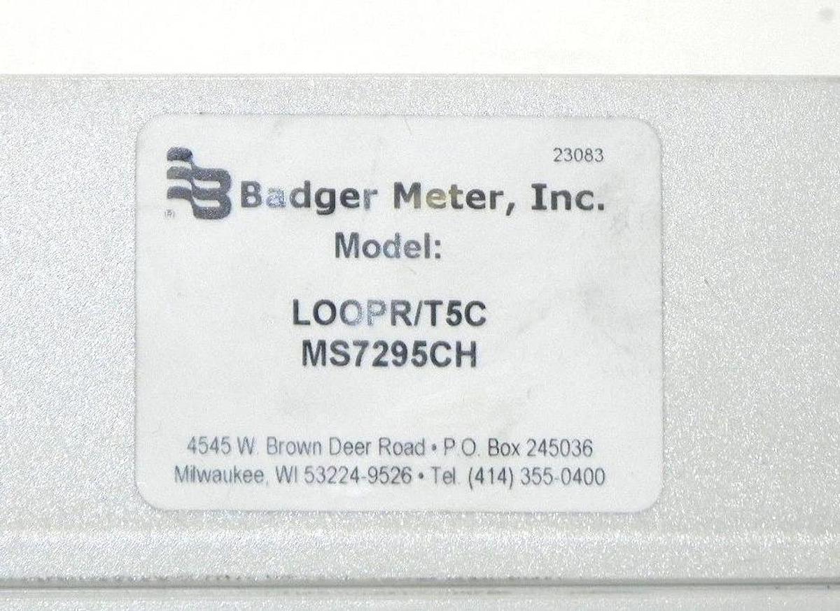 NEW BADGER INC METER LOOPR/T5C LOOP R/T MS7295CH