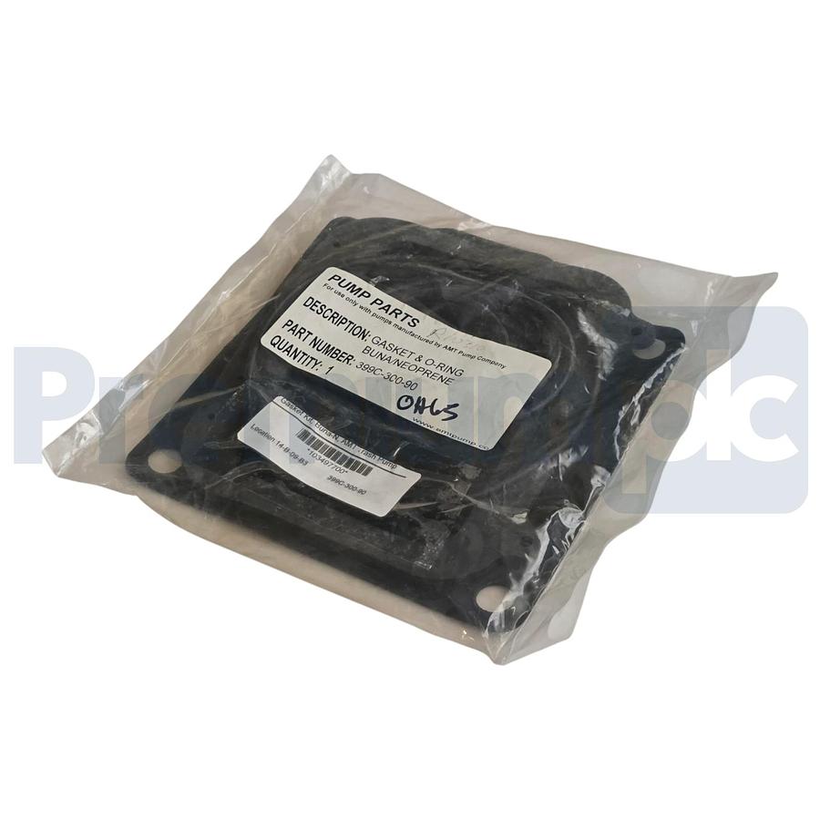 AMT Pump 399C-300-90 Gasket & O-Ring Kit Buna Neoprene for Trash Pumps OEM NSFS