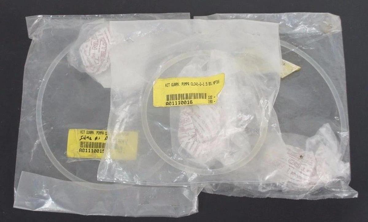Used LOT OF 3 NEW POMPA CLC41-2-1.5/BS.NPT88 GUARN. KITS A01110016 CLC41215BSNPT88