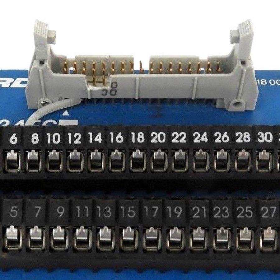 Used LOT OF 2 RDI 2M34FC TERMINAL BLOCK INTERFACE MODULES 10AMP 300V 620-0999 REV. 2
