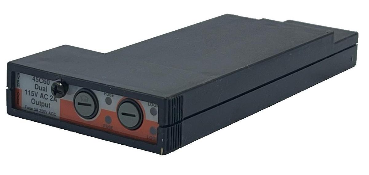 Used Reliance Electric AutoMate 45C60 Dual Output Module | 120VAC 2A | Rev 45C60
