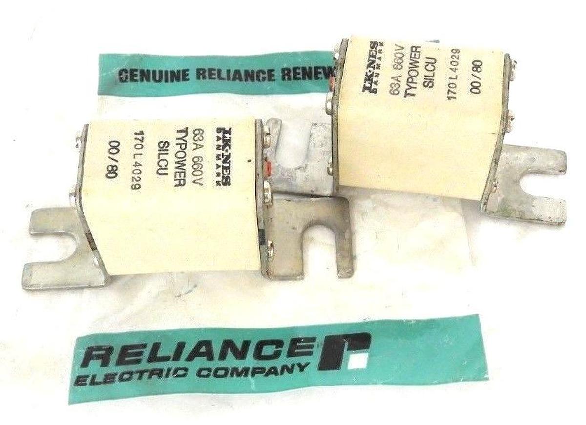 Used LOT OF 2 NEW LK-NES DANMARK 170L4029 TYPOWER SILCU 60A 660V FUSE 170-L-4029