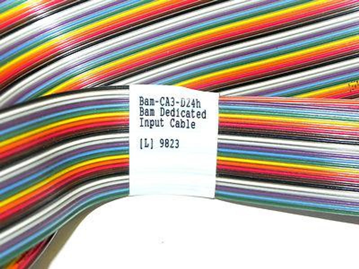 Used BAM DEDICATED INPUT CABLE 10797F0058 BAM-CA3-D24H USED