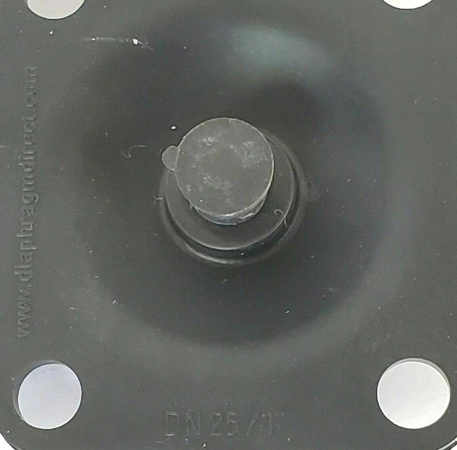 LOT OF 2 NEW DIAPHRAGM DIRECT DN 25 / 1" DIAPHRAGMS DN25