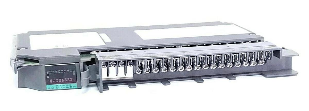Used ALLEN BRADLEY 1771-OBD SER. C DC OUTPUT MODULE REV. B03