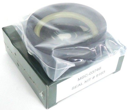 Used NEW MICHEAL STEPHENS MSC-03746 SEAL KIT #9163