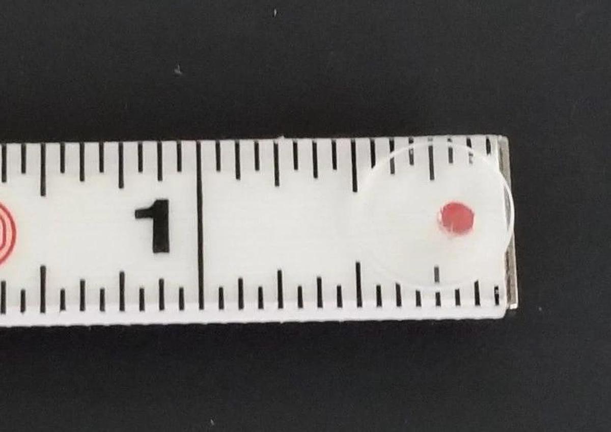 NEW GENERIC 400010 WINDOW QUARTZ ENTRANCE