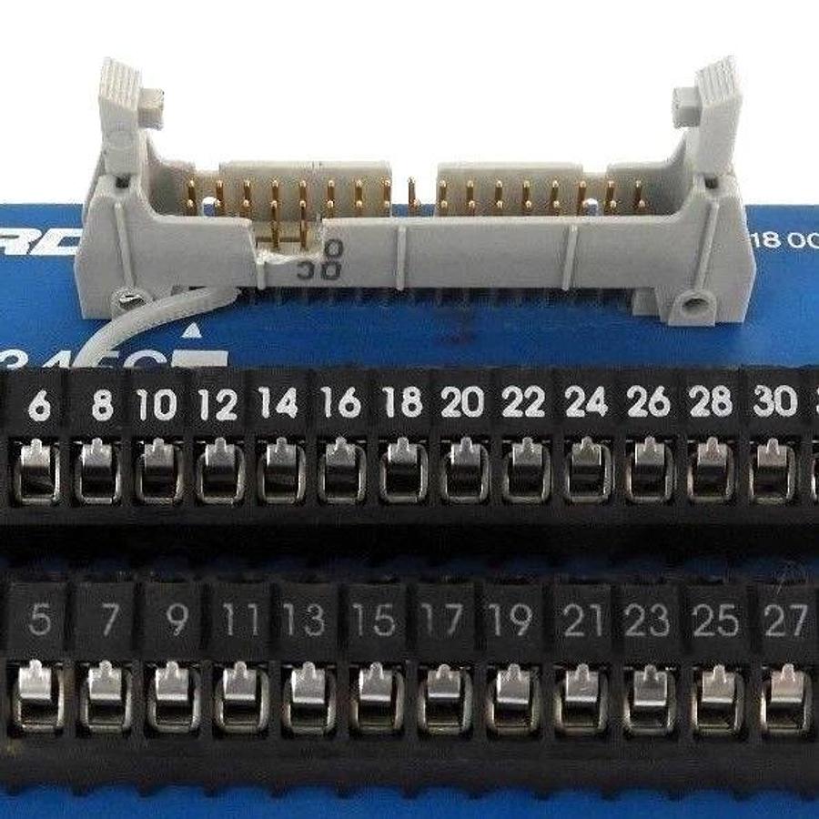 Used LOT OF 2 RDI 2M34FC TERMINAL BLOCK INTERFACE MODULES 10AMP 300V 620-0999 REV. 2