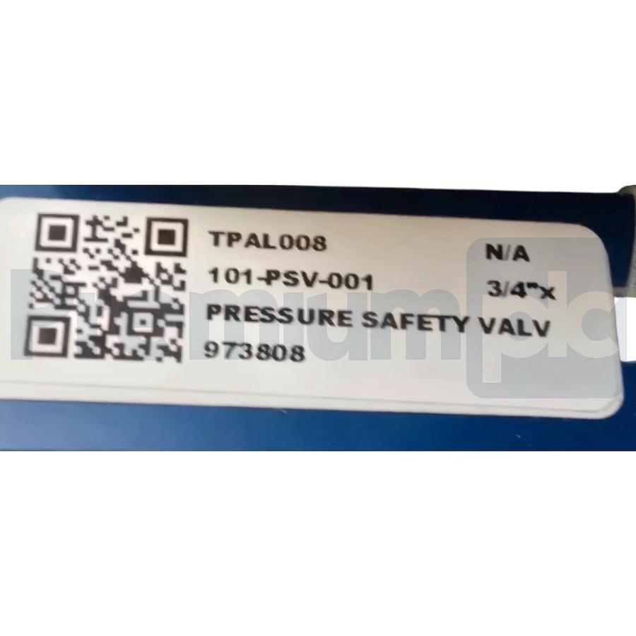 LESER 4594.2172 459 S/S Pressure Safety Relief Valve IN 3/4" OUT 1" 145psig NSNP